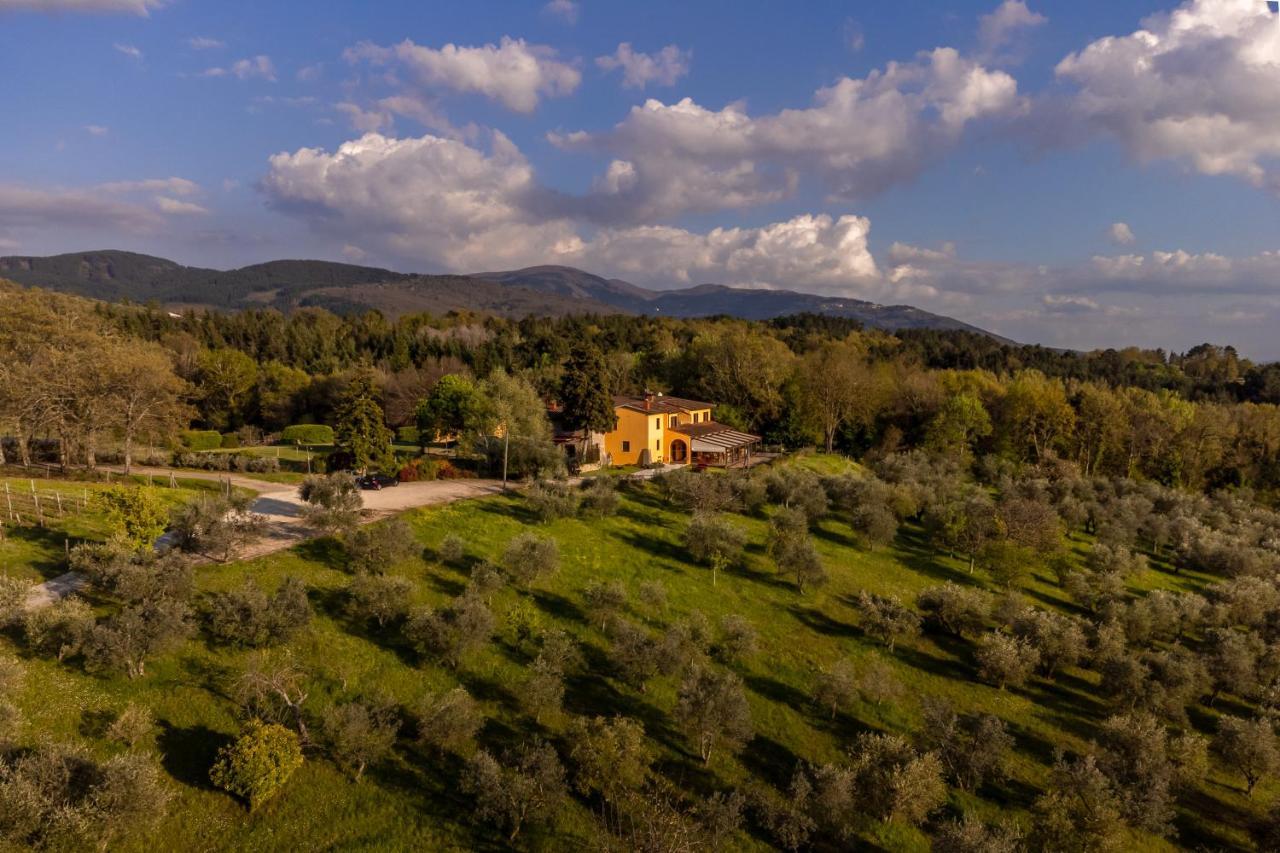 Tenuta Risalpiano Bauernhof *