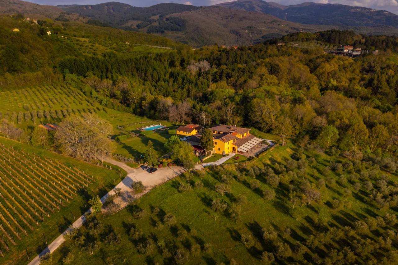 Tenuta Risalpiano Séjour à la ferme Pelago